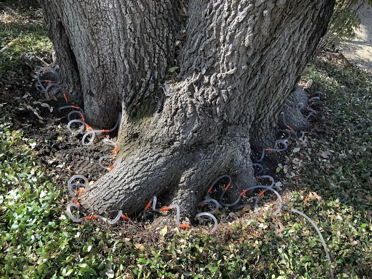 Detailed Shrub and Hedge Trimming job site in Burt Lake